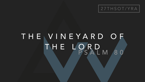 The Vineyard Of The Lord (Psalm 80) [27th Sunday in Ordinary Time | Year A]
